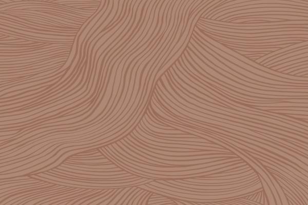 interwoven tree roots illustration